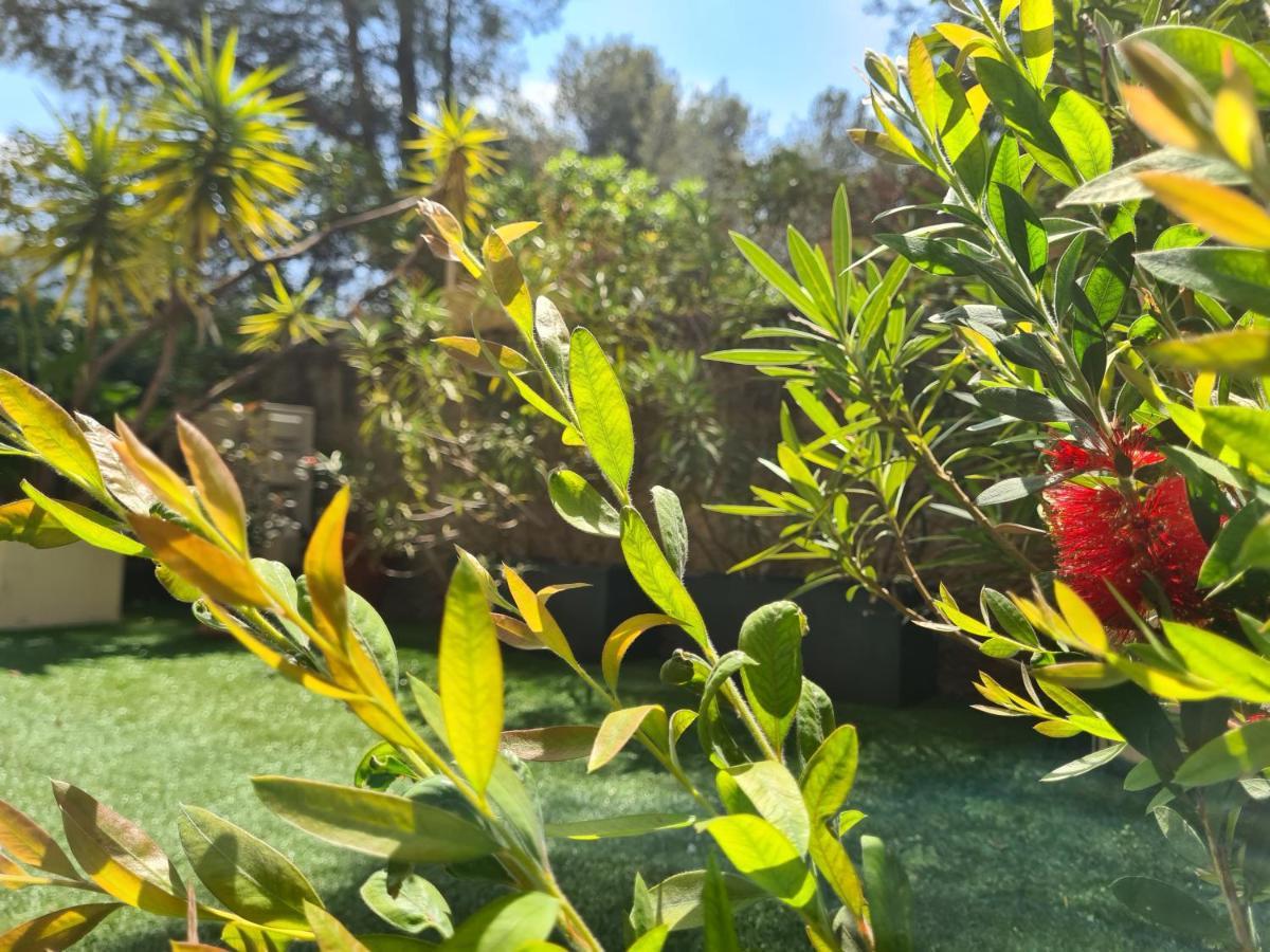 Jardin Prive Ds Le Centre De Cassis - Parking - Plage A 500M Bagian luar foto